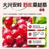 林野小铺 · 有机野生蔓越莓原浆双有机认证真有机纯野生 商品缩略图2