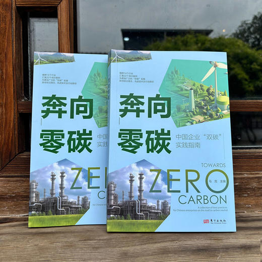 奔向零碳：中国企业“双碳”实践指南 商品图2