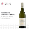 德迈长相思白葡萄酒Te MATA ESTATE  Estate Vineyards Sauvignon Blanc 商品缩略图0