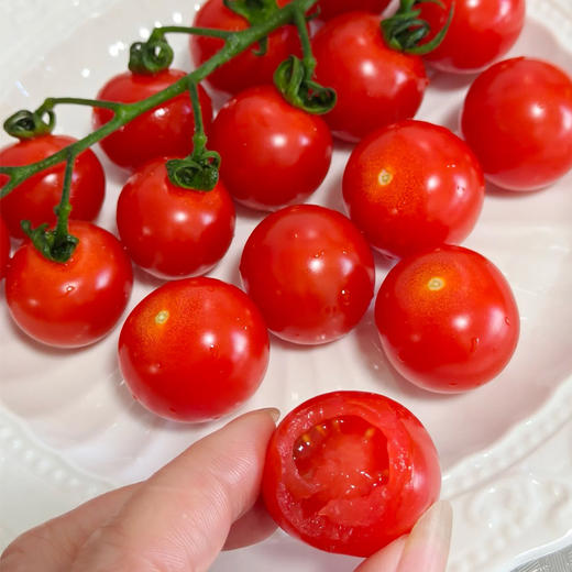 【枝干锁鲜】千禧串番茄 500g/份 商品图2