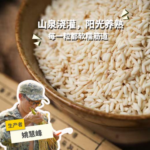 生态糯米 | 合作生产* Eco- glutinous Rice | Coproduction 商品图0