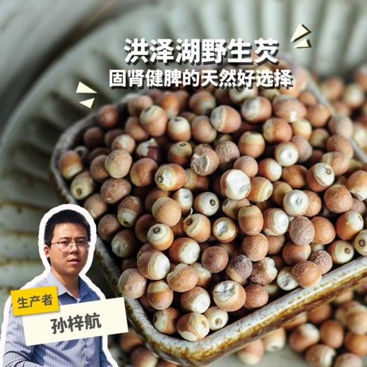 野生芡实 | 合作生产 * Wild-Gorgon fruit 商品图0