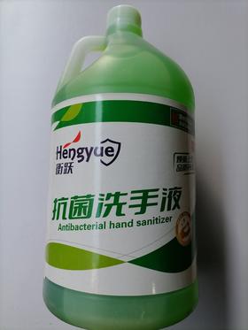 【TXD】衡跃 抑菌洗手液绿色 3.8L/桶