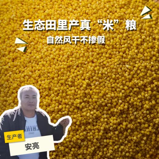 有机小米 | 合作生产 * Organic Millet | Partner Production 商品图0