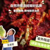 生态辣皮子（新疆） | 合作生产 * Ecological dried chilli | Partner Production 商品缩略图0