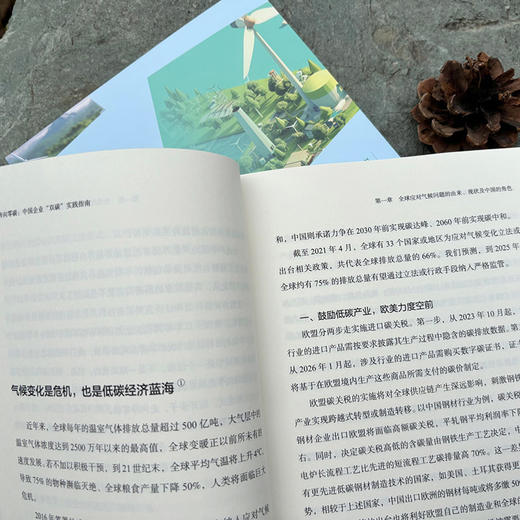 奔向零碳：中国企业“双碳”实践指南 商品图5