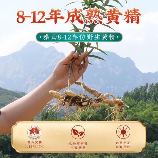 【买2送1，买3送2】李时珍·泰山黑金黄精 8-12年的足龄黄精 九蒸九晒非遗工艺制作 富含黄精多糖、皂苷类成分、生物碱、黄酮 密封包装 锁鲜保效 开袋即食 100g（16根）/罐 商品图4