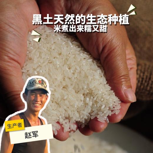 有机五常大米(稻花香二号-粳米) (圆通快递) | 合作生产 *Wuchang rice | Coproduction 商品图0