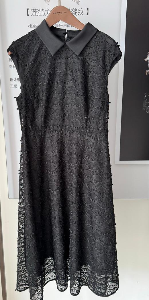 SZ3S16_漆黑色_连衣裙_春夏_翻领无袖盖肩收腰A字中长款莲鹤方壶纹样立体刺绣网纱_高级女装_BERNIEELEN 伯妮斯茵 商品图0