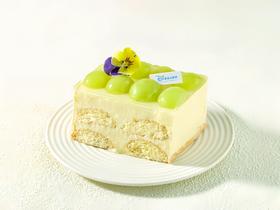 青提茉莉提拉米苏