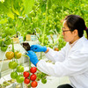 暑期搭档 有机蔬菜礼盒 4斤装（原价78元，限时折扣） 商品缩略图2