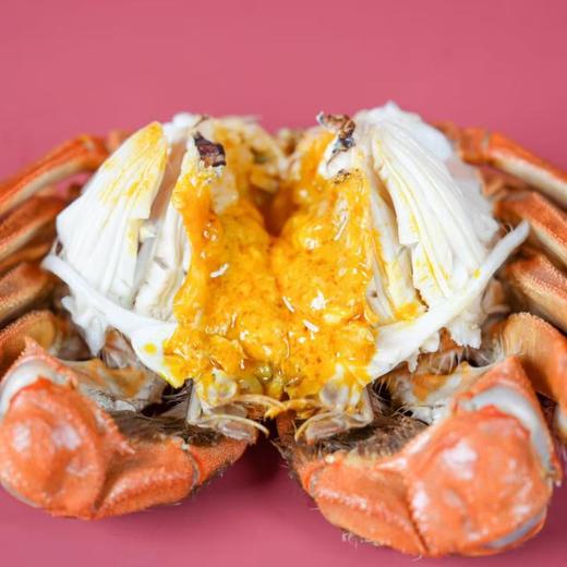 杨桂珍大闸蟹六月黄礼盒 2两公（12只）/盒 商品图2