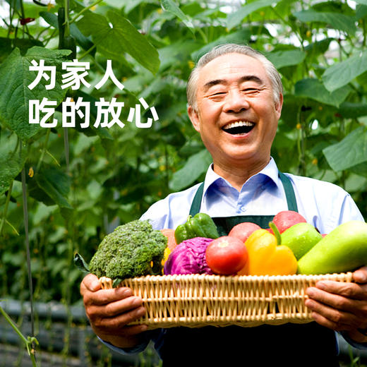 暑期搭档 有机蔬菜礼盒 4斤装（原价78元，限时折扣） 商品图3
