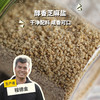 生态芝麻盐 (方野厨房) | 绿家自产*Ecological Sesame Salt | In-House Production 商品缩略图0