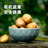 暑期搭档 有机蔬菜礼盒 4斤装（原价78元，限时折扣） 商品缩略图7