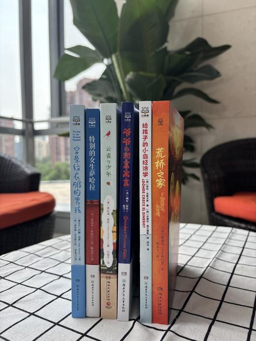 丹妈精选暑期儿童文学集合（6册） 商品图1