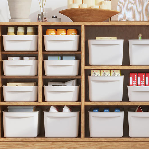 俊钦堂多功能收纳箱 商品图0