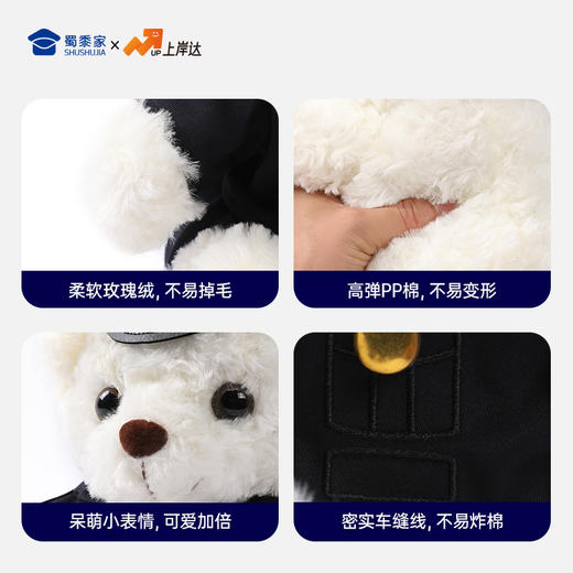 【海关小熊】创意毛绒小熊公仔儿童玩具服装可脱送礼礼物 商品图4