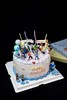 疯狂动物城生日派对 商品缩略图1
