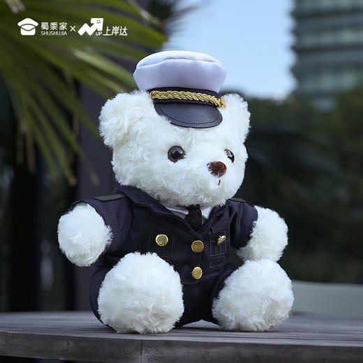 【海关小熊】创意毛绒小熊公仔儿童玩具服装可脱送礼礼物 商品图7