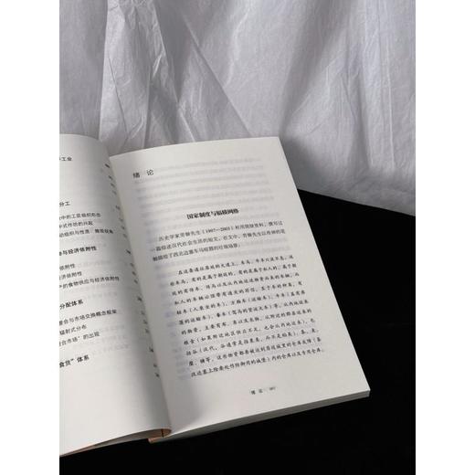 帝都之铁 汉代铁工业与辐辏网络 商品图1