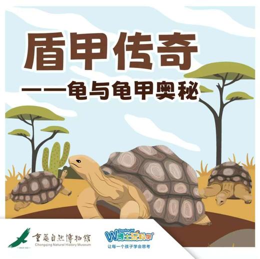 【重庆自然博物馆】——龟甲传奇 商品图0