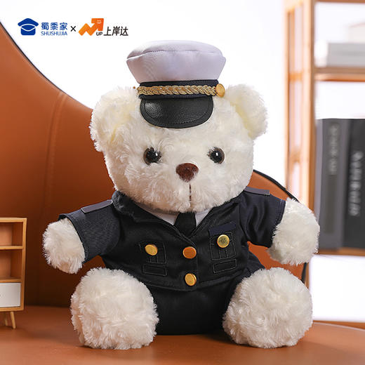 【海关小熊】创意毛绒小熊公仔儿童玩具服装可脱送礼礼物 商品图6