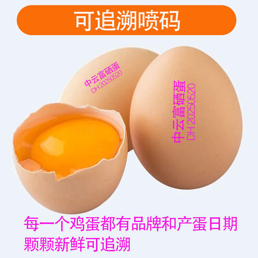 【赑隆】无抗富硒蛋（30枚装） 商品图5