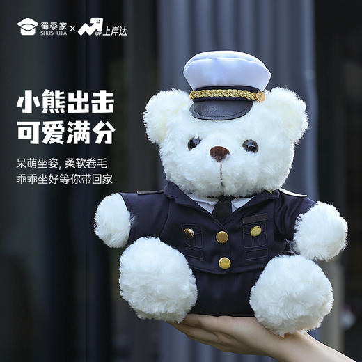 【海关小熊】创意毛绒小熊公仔儿童玩具服装可脱送礼礼物 商品图5