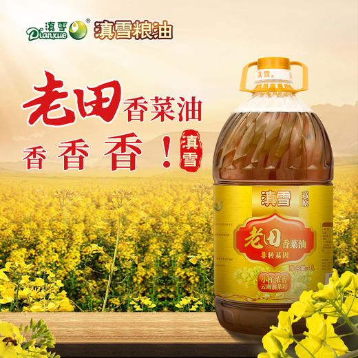 滇雪老田香油4L【仅云南省内发货】 商品图0