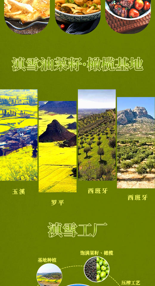 滇雪橄榄菜籽油1.6L【仅云南省内发货】 商品图4