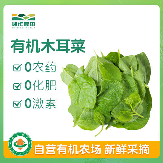 有机木耳菜 500g 商品图0