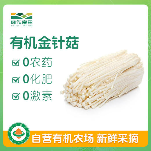 有机金针菇120g 商品图0