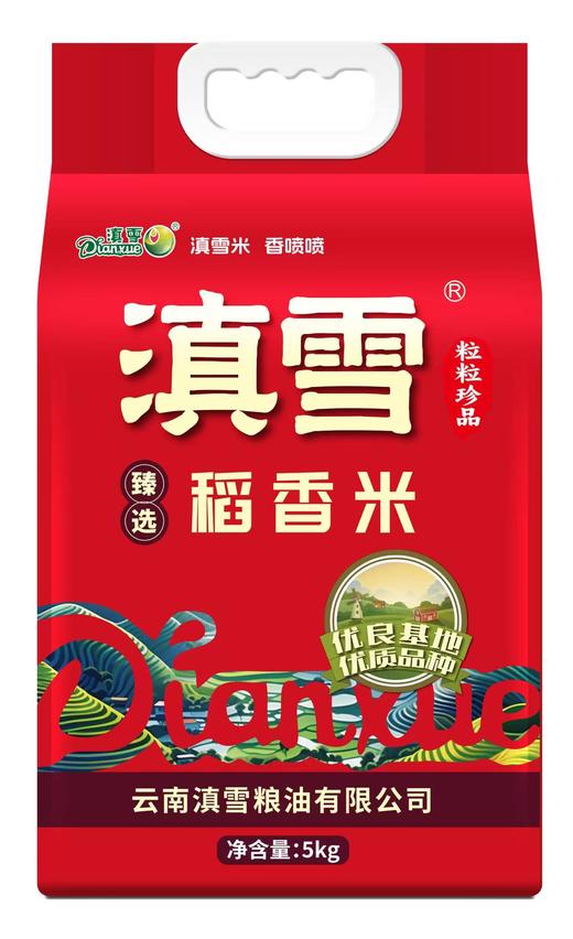 【地推活动商品链接，请现场下单，不发快递】滇雪臻选稻香米5kg 商品图0