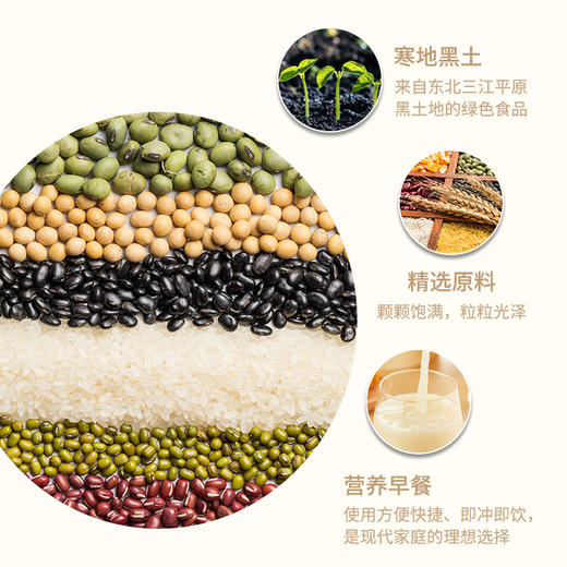 冬梅-五谷丨燕麦红枣豆浆粉300g/袋 商品图1
