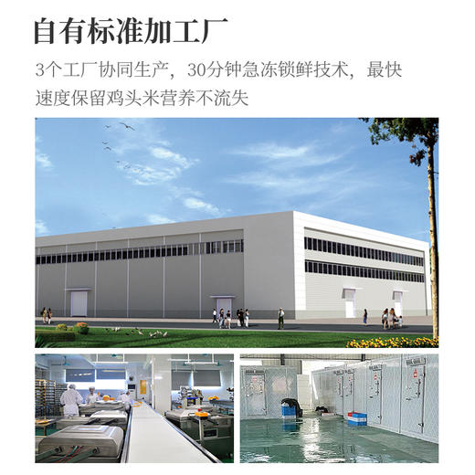 苏州顶流新鲜鸡头米丨新鲜采摘、夏季限定美味、Q弹软糯、赠送一包桂花+一包冰糖 商品图4