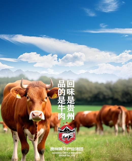 贵州黄牛原切牛肉粒 商品图7