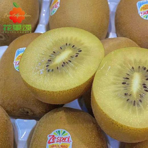 新西兰金奇异果 大果 商品图0