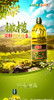 滇雪橄榄菜籽油1.6L【仅云南省内发货】 商品缩略图0