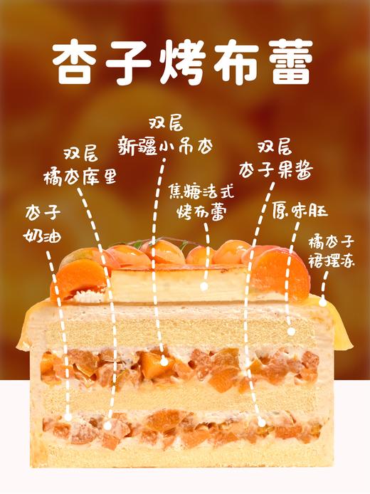 【杏子烤布蕾】精选新疆空运吊干杏、一年仅30天的赏味期 商品图2