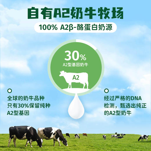 辉山A2β-酪蛋白原生高钙纯牛奶 商品图3