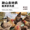 肉嫩汤鲜 | 喜辉海南椰子鸡火锅套餐(清远鸡) 15分钟在家轻松搞定大厨级椰子鸡 新鲜鸡肉套餐食材 4人份 商品缩略图2