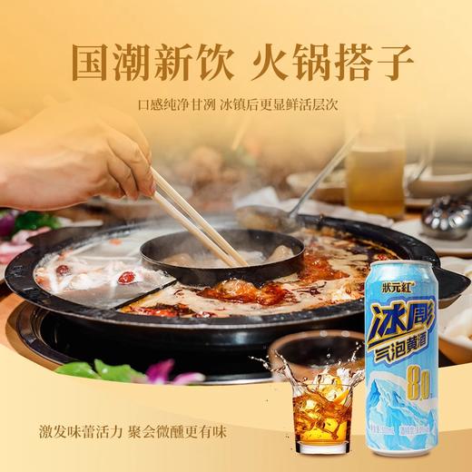 热卖中！！【古越龙山官方旗舰店有售】状元红冰彫气泡黄酒  8度微醺风味 500ml*12瓶+送气泡黄酒2瓶+送冰川杯2个！ 商品图6