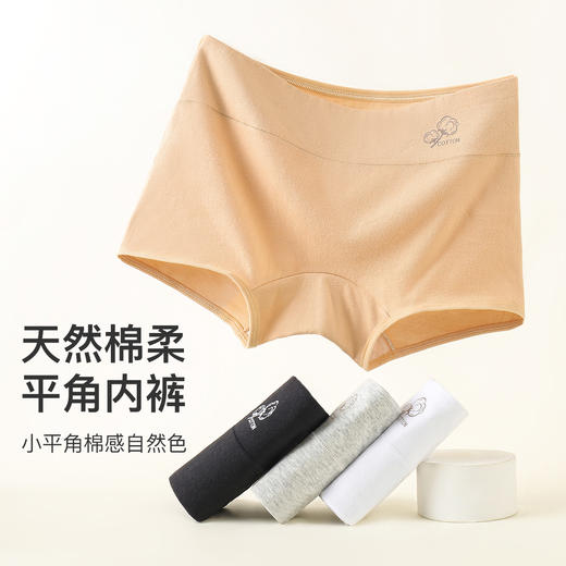 【4条装】安全裤打底裤二合一平角防走光内裤女100%纯棉裆7997棉质平角内裤4条装 商品图5