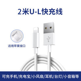 【严选】2m苹果5-14专用USB快充线 经典款2.4A 数据线手机充电线/盒