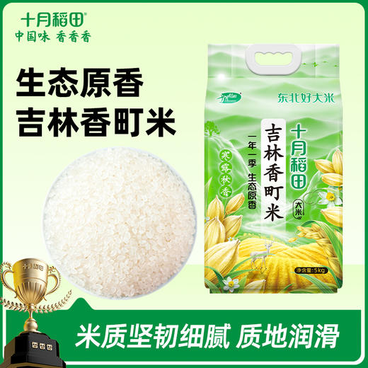 【商超同款】寒露秋香吉林香町米20斤 商品图0