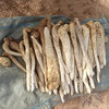 正安荒漠肉苁蓉 甄选阿拉善鲜品肉苁蓉 冬补养身，润补之选  冷链运输 保鲜送达1500g/箱 商品缩略图1