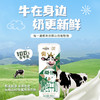 辉山A2β-酪蛋白原生高钙纯牛奶 商品缩略图1