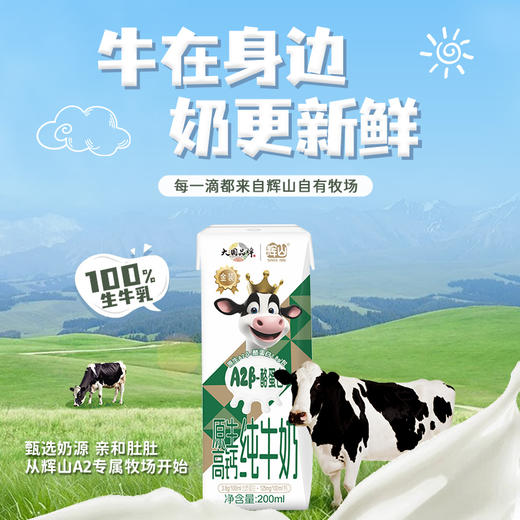 辉山A2β-酪蛋白原生高钙纯牛奶 商品图1