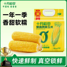 十月稻田 鲜食黄糯玉米220g*6根 限时赠1根 自然香甜 72小时发货